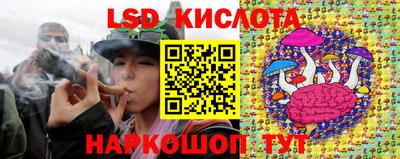 дживик Сланцы