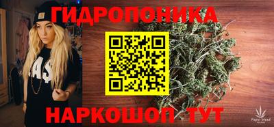 амф Славгород