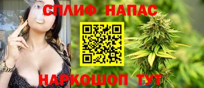 дживик Сланцы