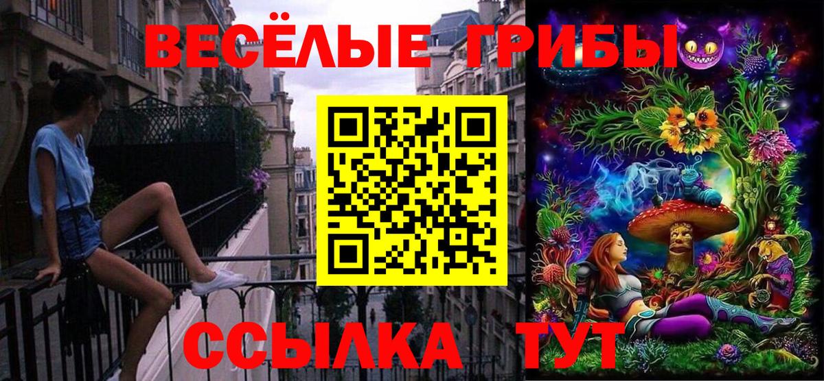 Галлюциногенные грибы ЛСД Отрадный